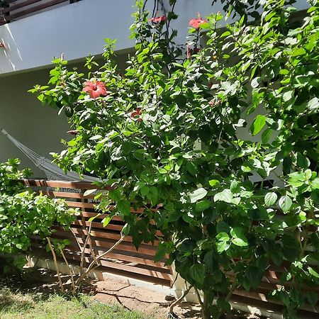 Casa Betti Villa Jijoca de Jericoacoara Exteriör bild