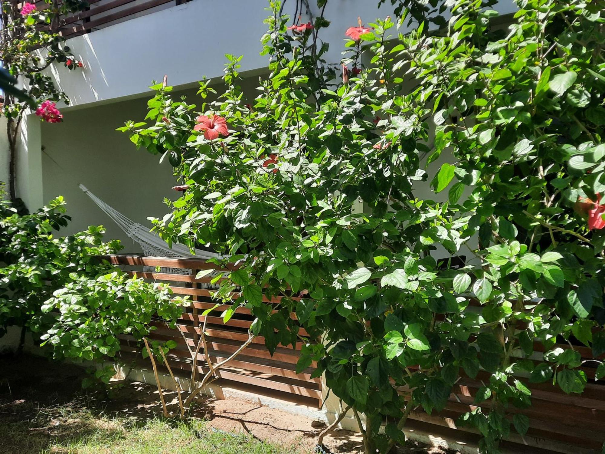 Casa Betti Villa Jijoca de Jericoacoara Exteriör bild